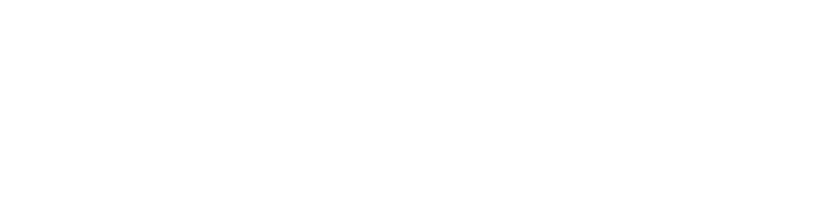 comminty health logo